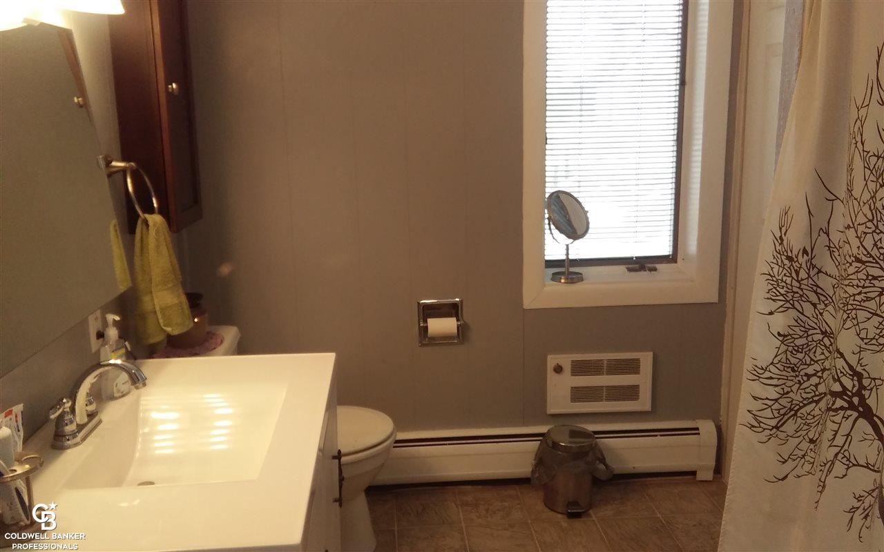 5325 Russell Road Palms, MI 48465 - Photo 18 of 53 View 4 of full bathroom