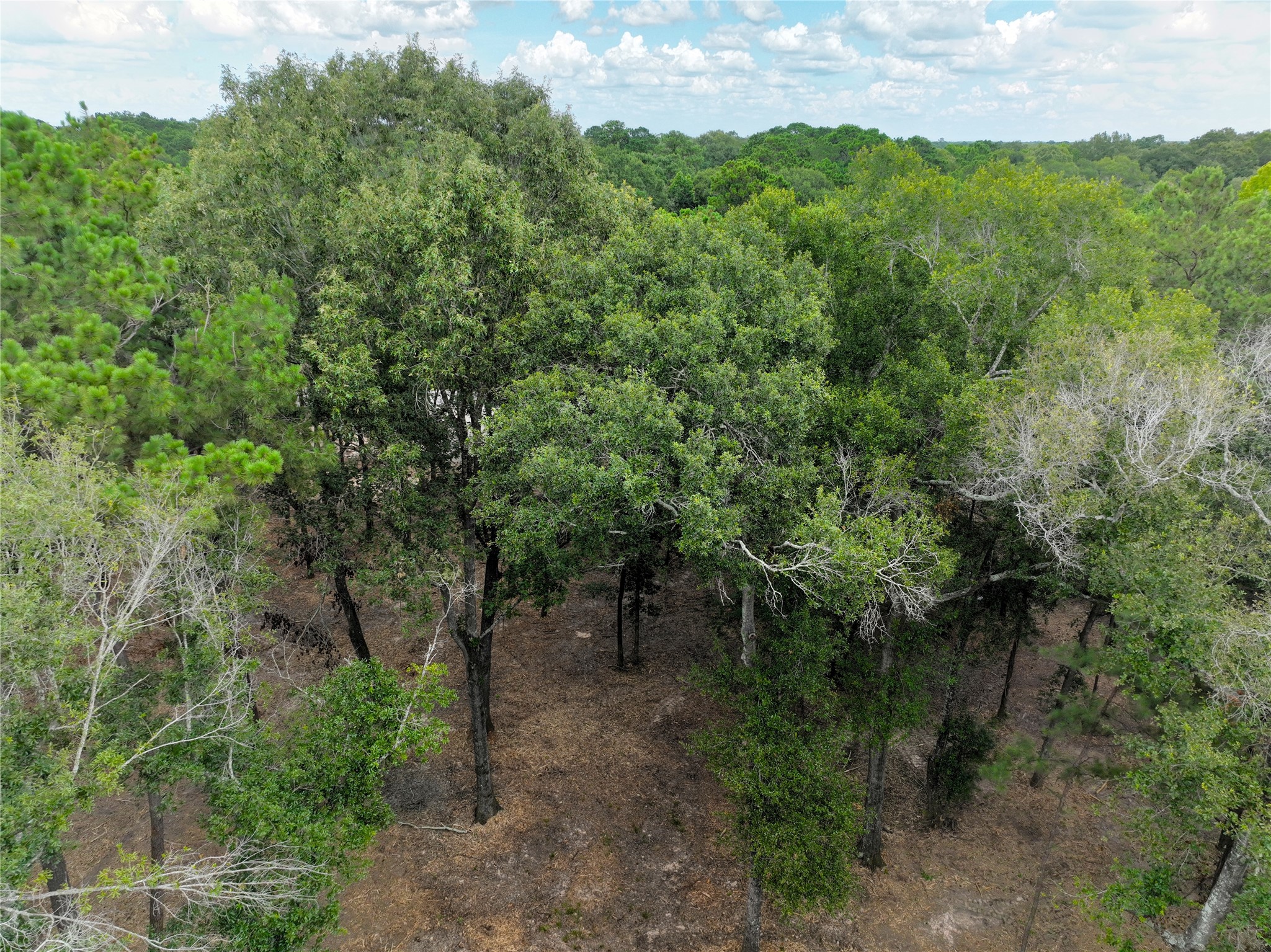 29633 Huffman Cleveland Road Huffman, TX 77336 - Photo 24 of 32