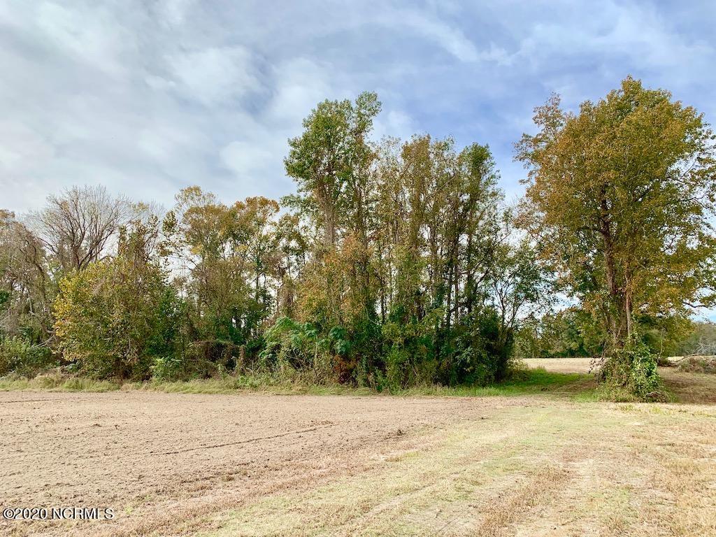 0 Biddle Road Dover, NC 28526 - Photo 22 of 35 22