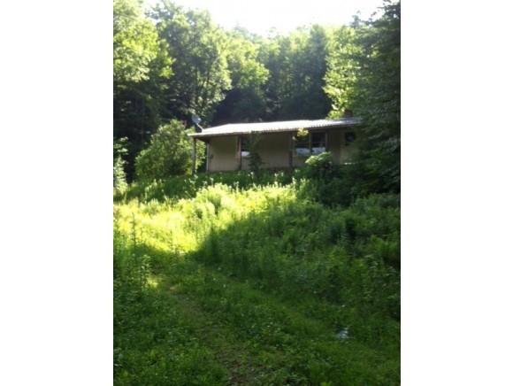 44 Endless Brook Road Wells, VT 05774 - Photo 1 of 1 Gallery Image 1