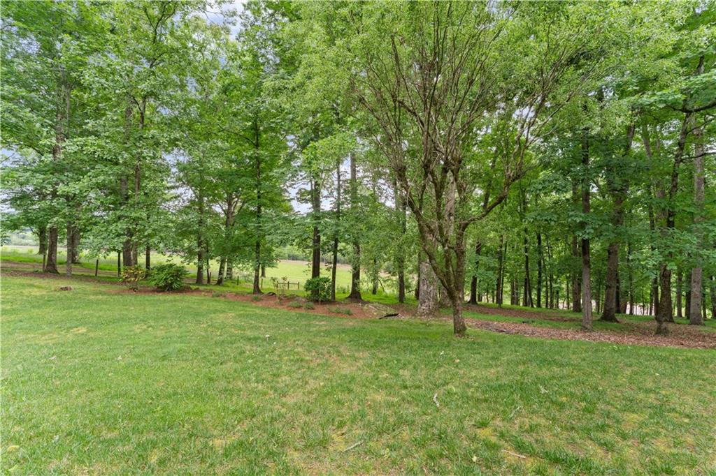 2290 Alec Mountain Road Clarkesville, GA 30523 - Photo 21 of 69
