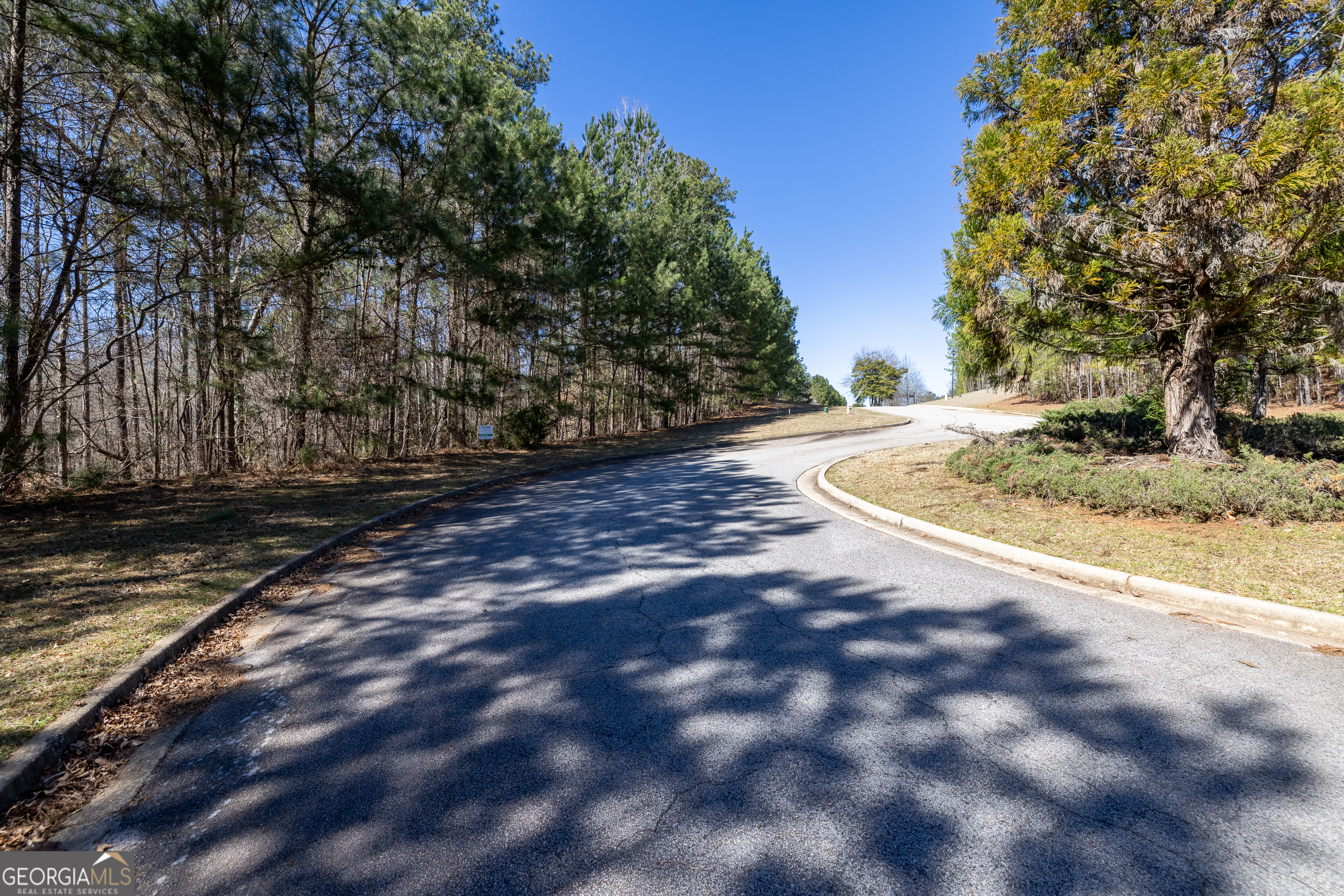 2126 Lacroix Way Conyers, GA 30094 - Photo 43 of 65