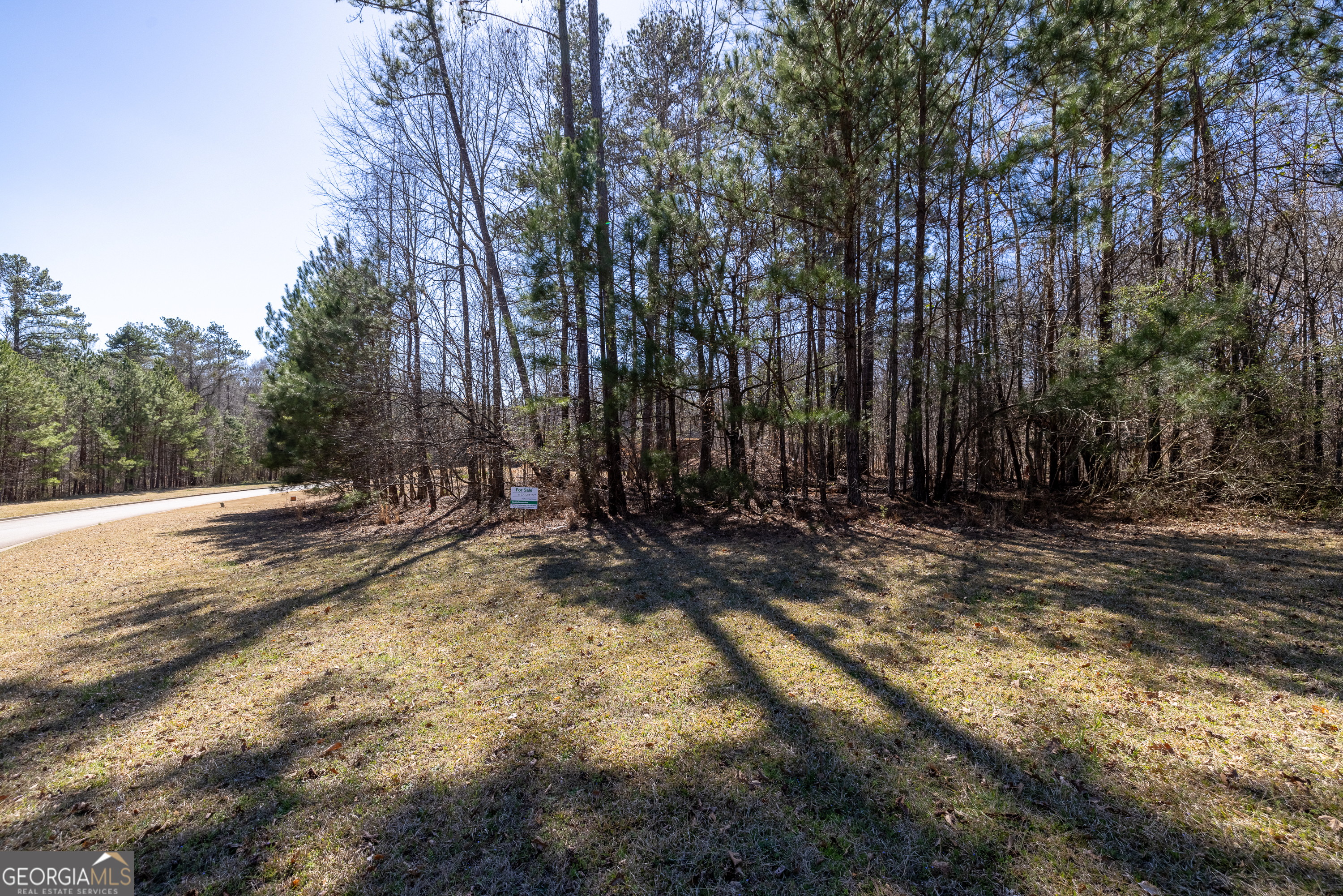 2126 Lacroix Way Conyers, GA 30094 - Photo 44 of 65