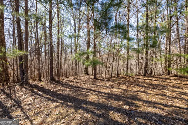 $94,905 | 2126 Lacroix Way, Conyers, GA 30094