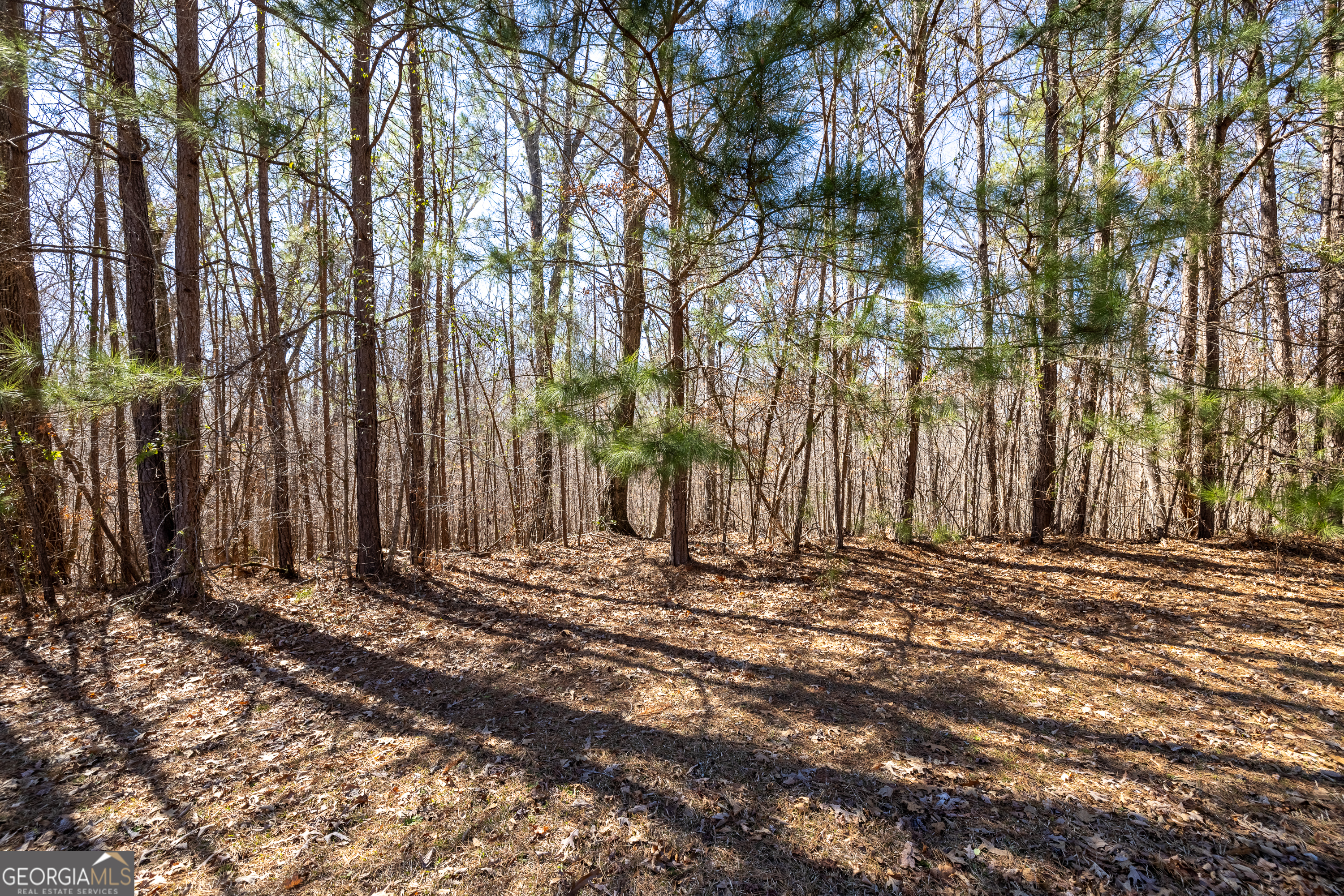 2126 Lacroix Way Conyers, GA 30094 - Photo 50 of 65