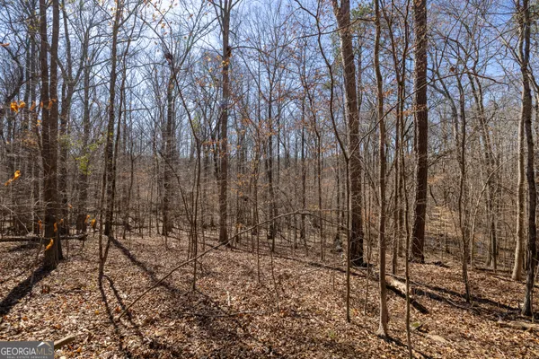 $94,905 | 2126 Lacroix Way, Conyers, GA 30094