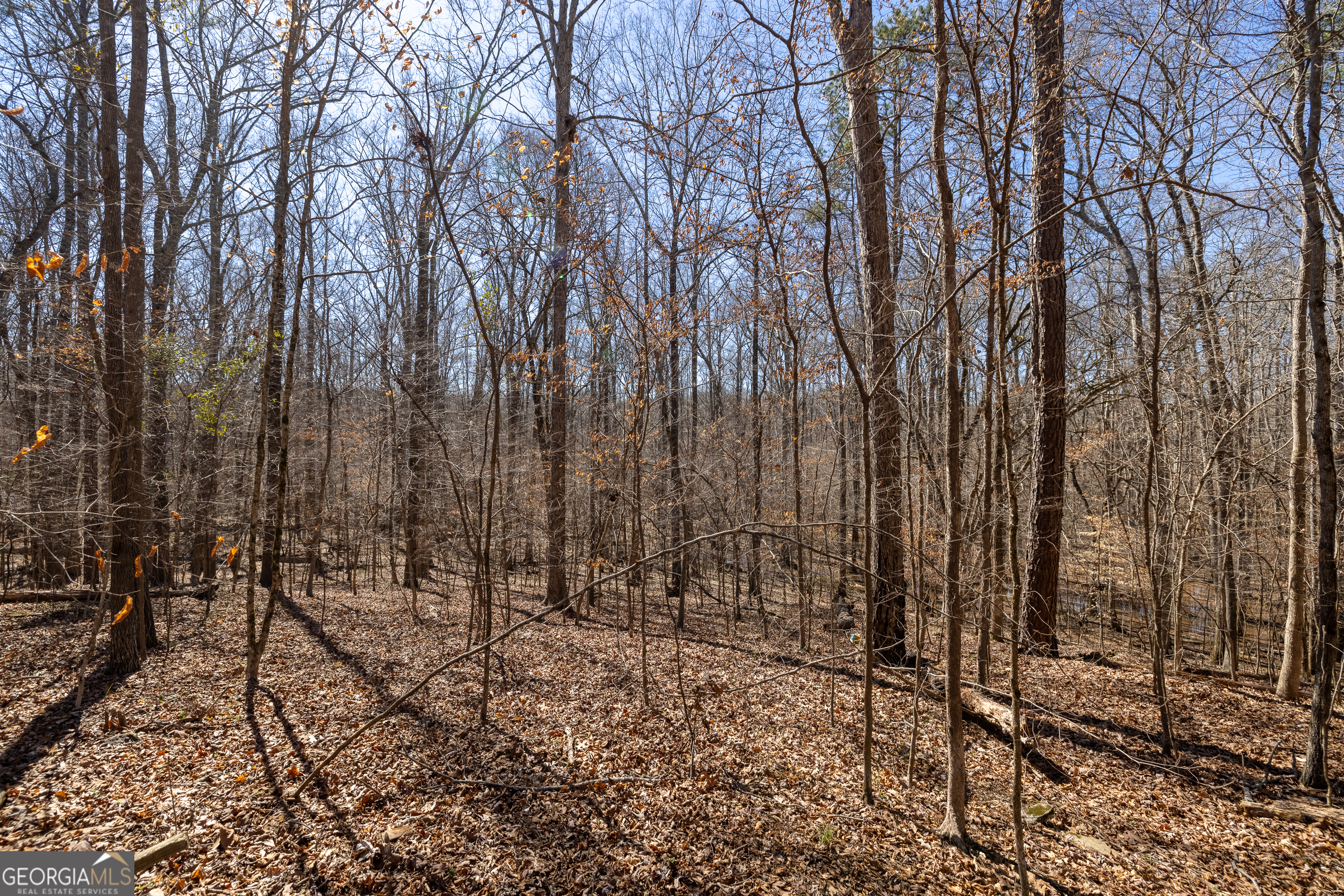 2126 Lacroix Way Conyers, GA 30094 - Photo 51 of 65