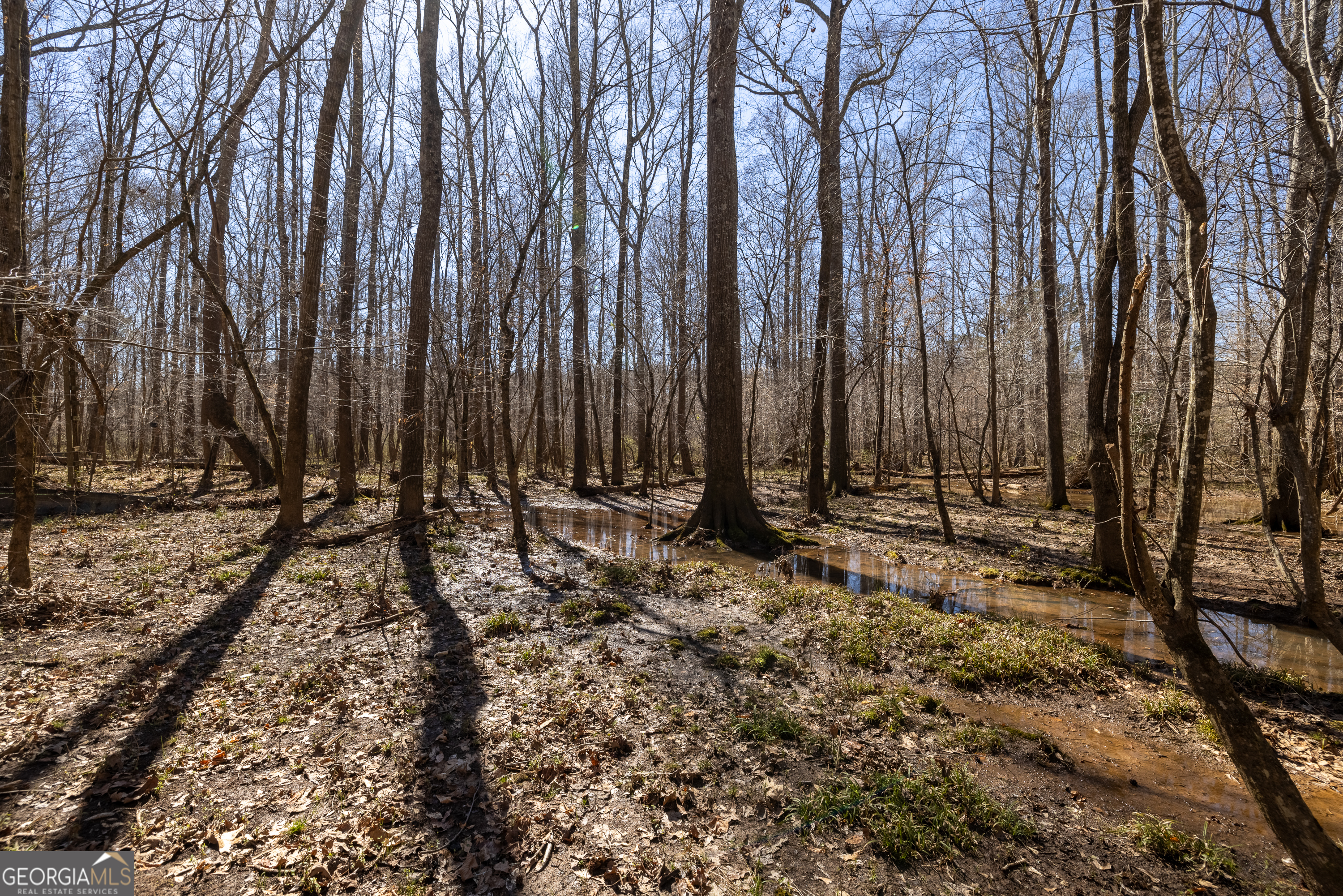2126 Lacroix Way Conyers, GA 30094 - Photo 52 of 65