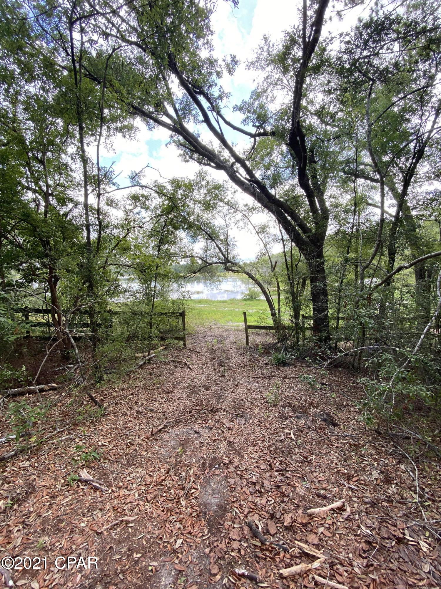 0 Grassy Pond Road, Unit GREENHEAD) Chipley, FL 32428 - Photo 10 of 22 Gallery Image 10