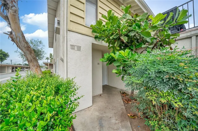 a view of a garden with pathway
