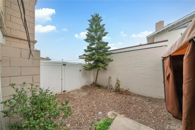 a flower plants in front of a house
