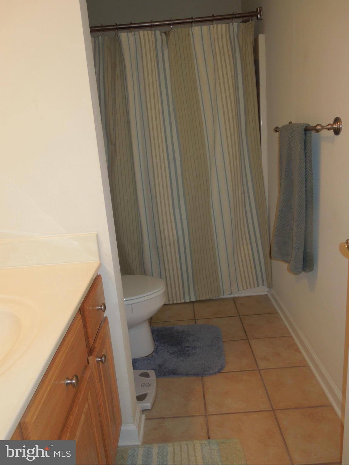 501 Maryland Avenue Ridgely, MD 21660 - Photo 11 of 21 Bath (Master)