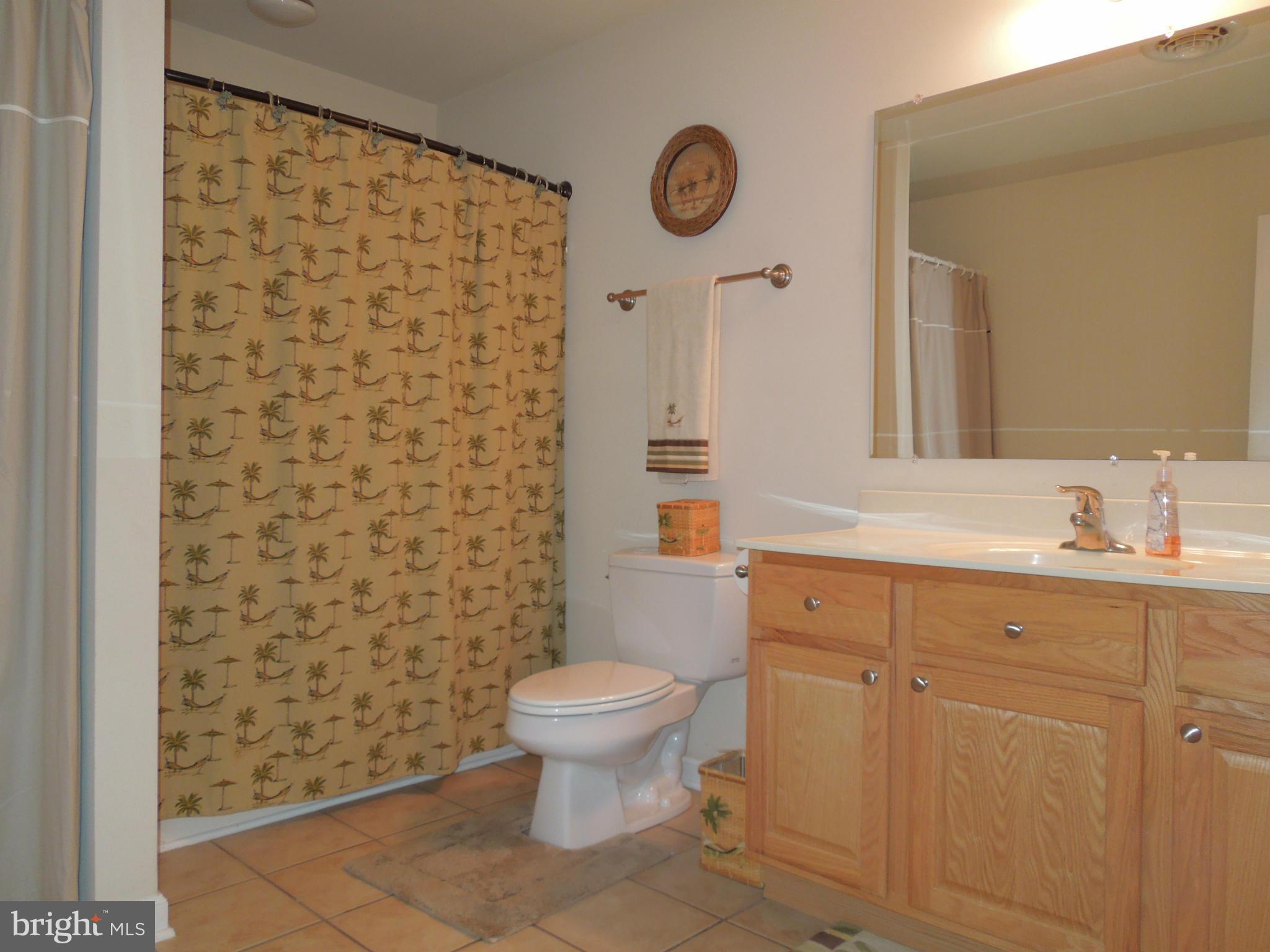 501 Maryland Avenue Ridgely, MD 21660 - Photo 16 of 21 HALL BATH