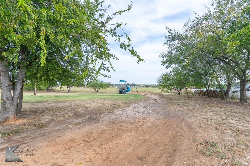 917 County Road 3798 Springtown, TX 76082 - Photo 36 of 40 a view of outdoor space with trees