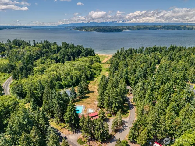 a street view with a bench and trees