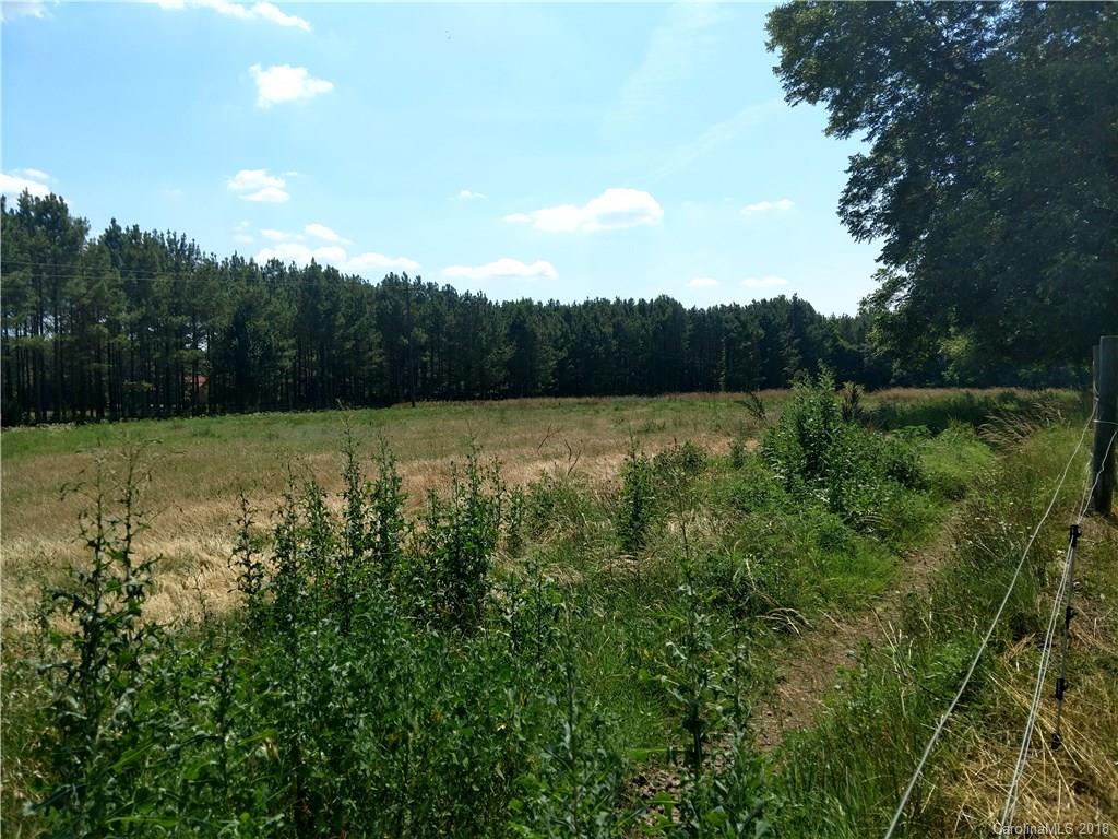 45 South Moose Road Mount Pleasant, NC 28124 - Photo 10 of 15 a view of outdoor space with green field and trees