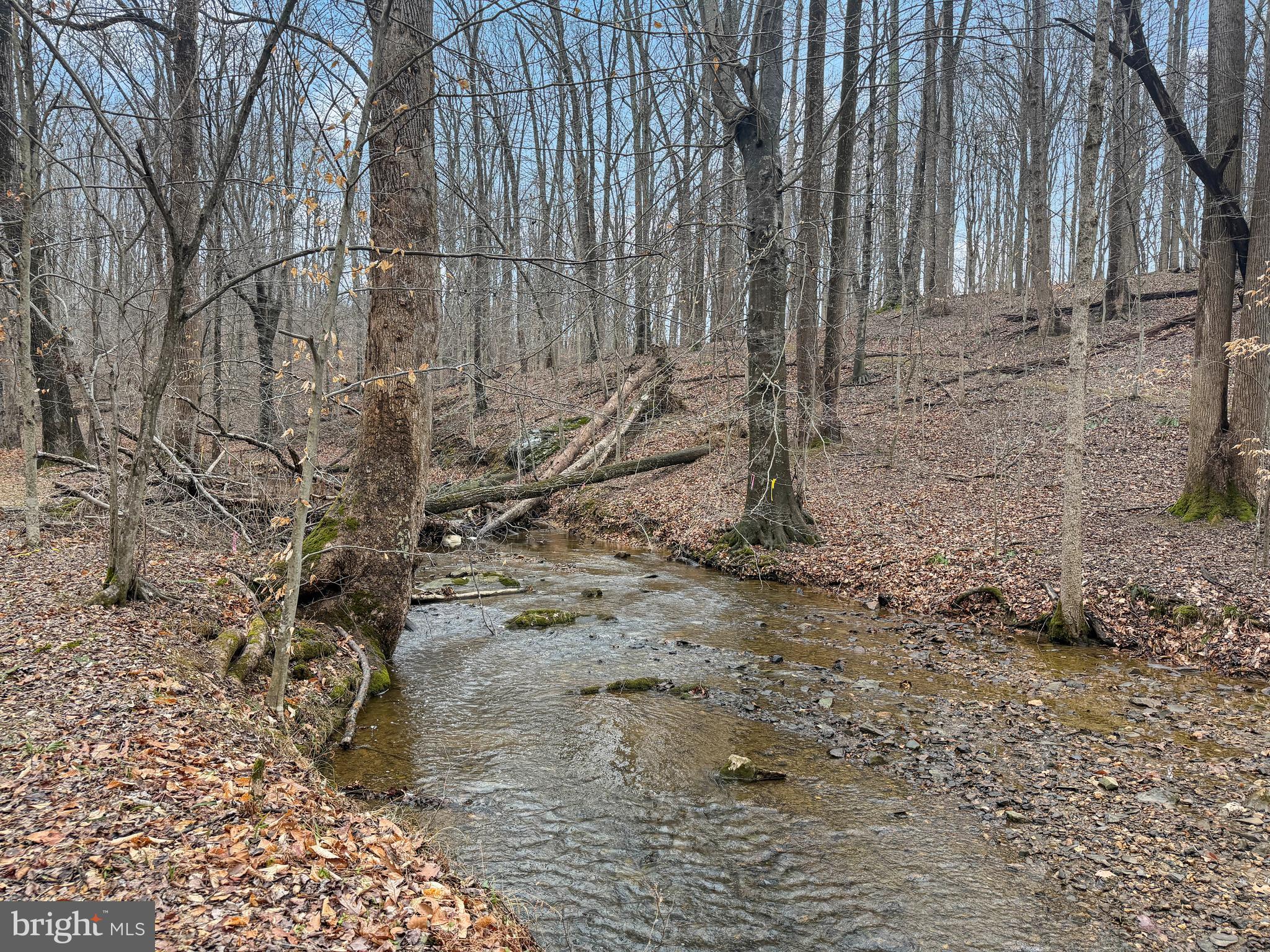 7017 A Union Mill Road Clifton, VA 20124 - Photo 12 of 15