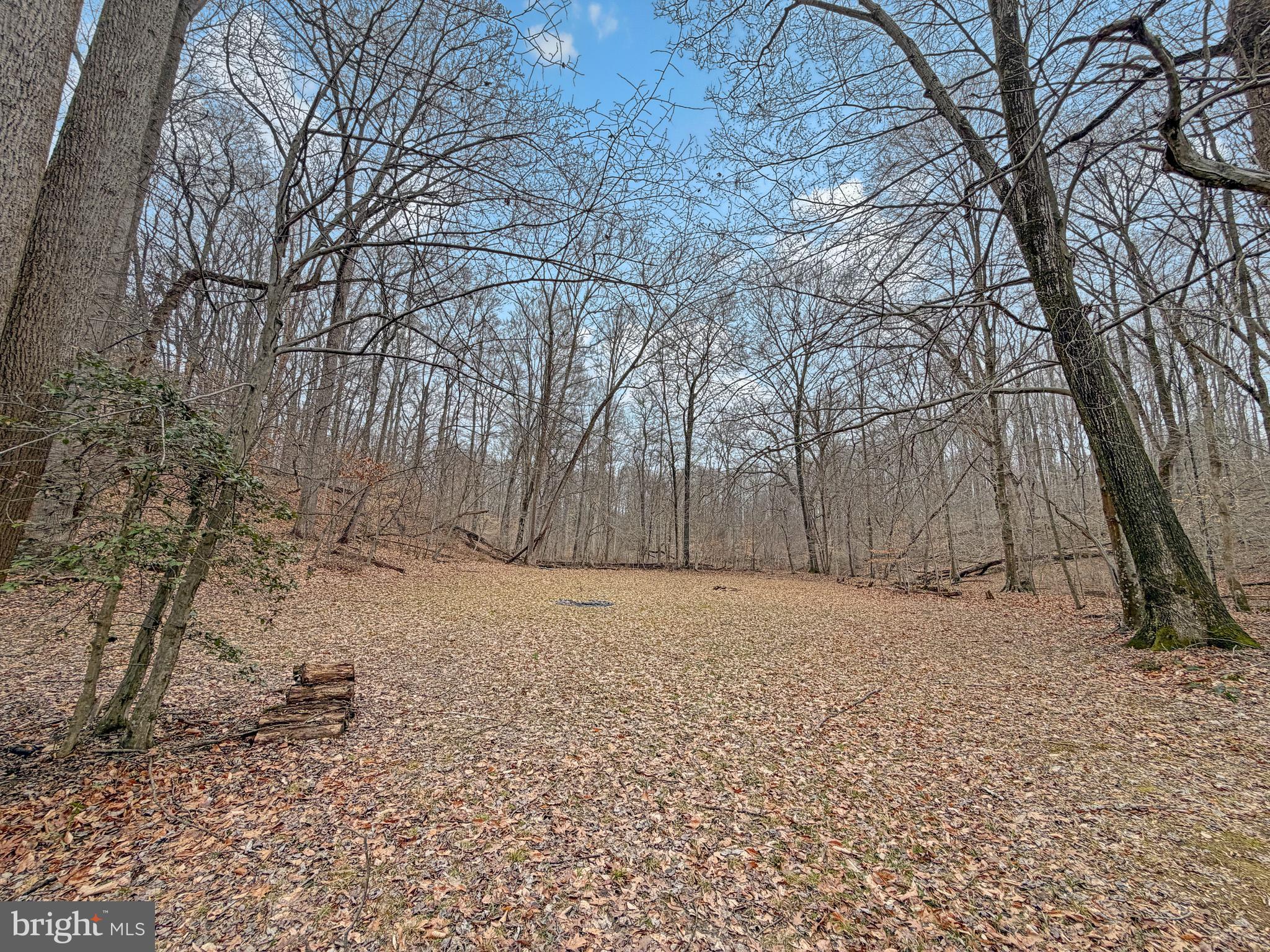 7017 A Union Mill Road Clifton, VA 20124 - Photo 13 of 15