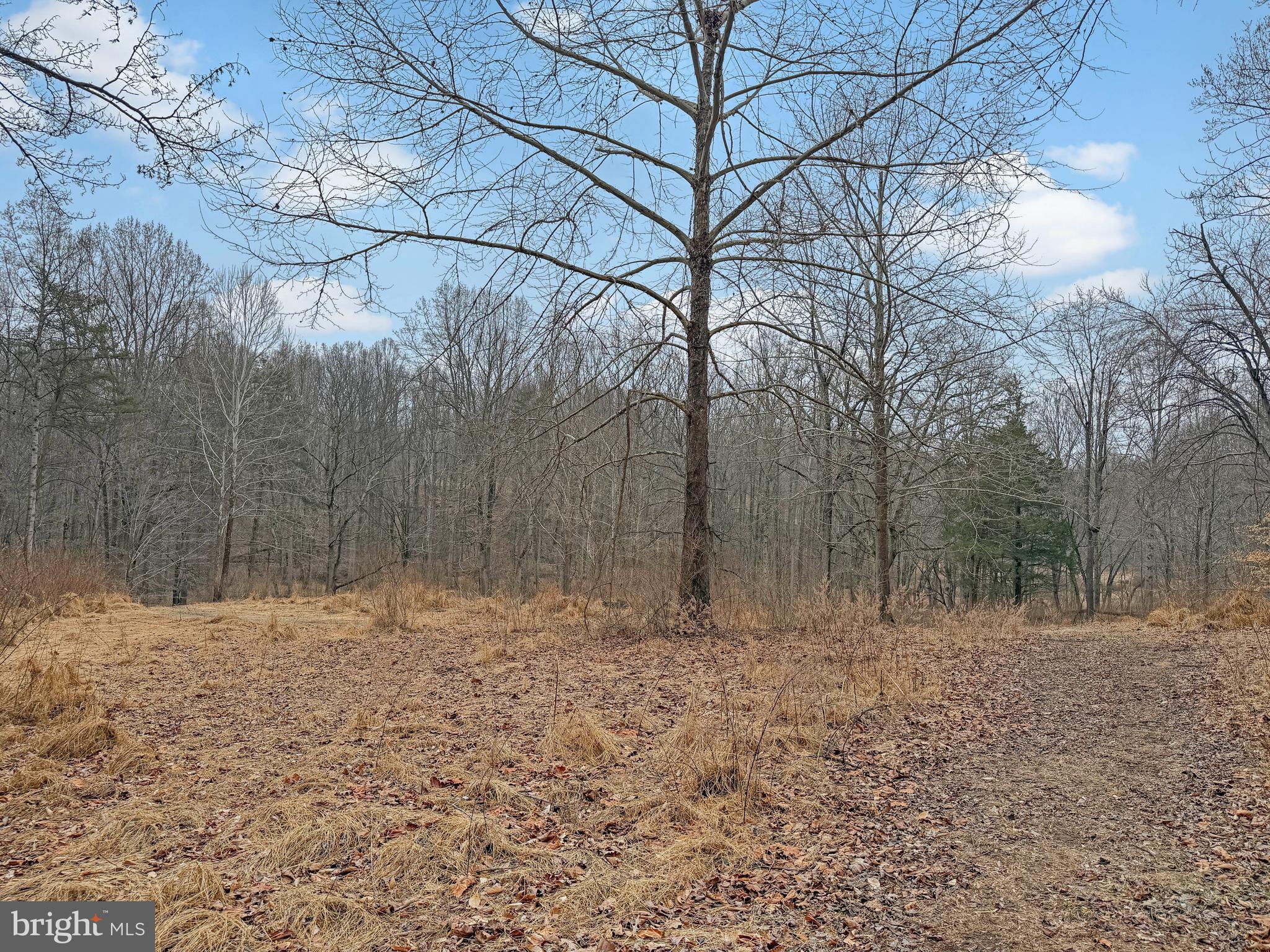 7017 A Union Mill Road Clifton, VA 20124 - Photo 14 of 15