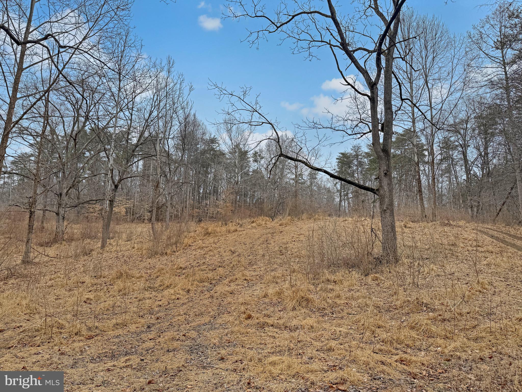 7017 A Union Mill Road Clifton, VA 20124 - Photo 15 of 15