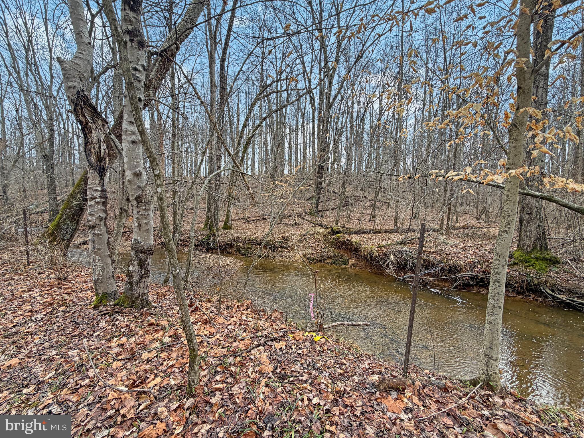 7017 A Union Mill Road Clifton, VA 20124 - Photo 2 of 15