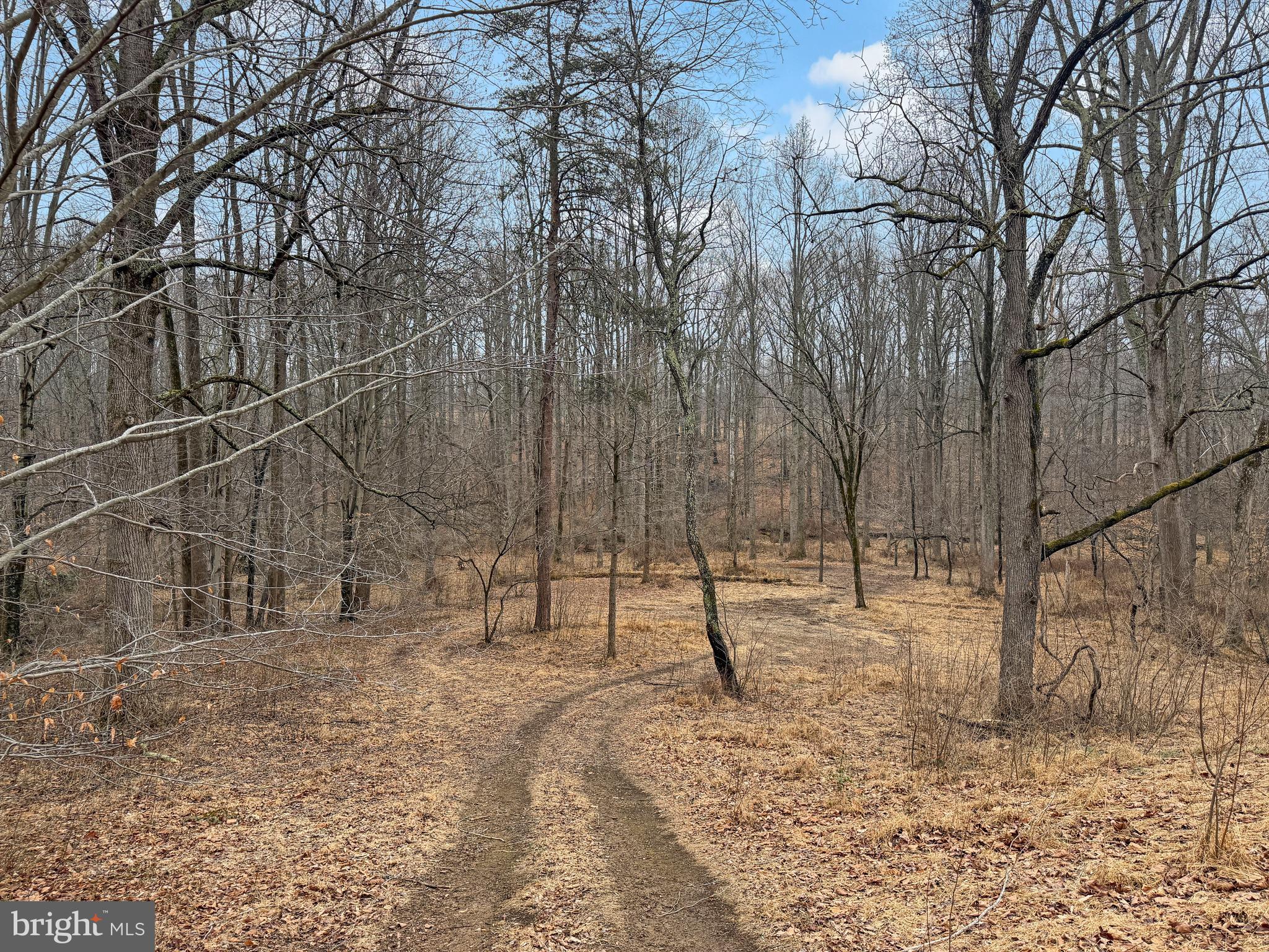 7017 A Union Mill Road Clifton, VA 20124 - Photo 3 of 15