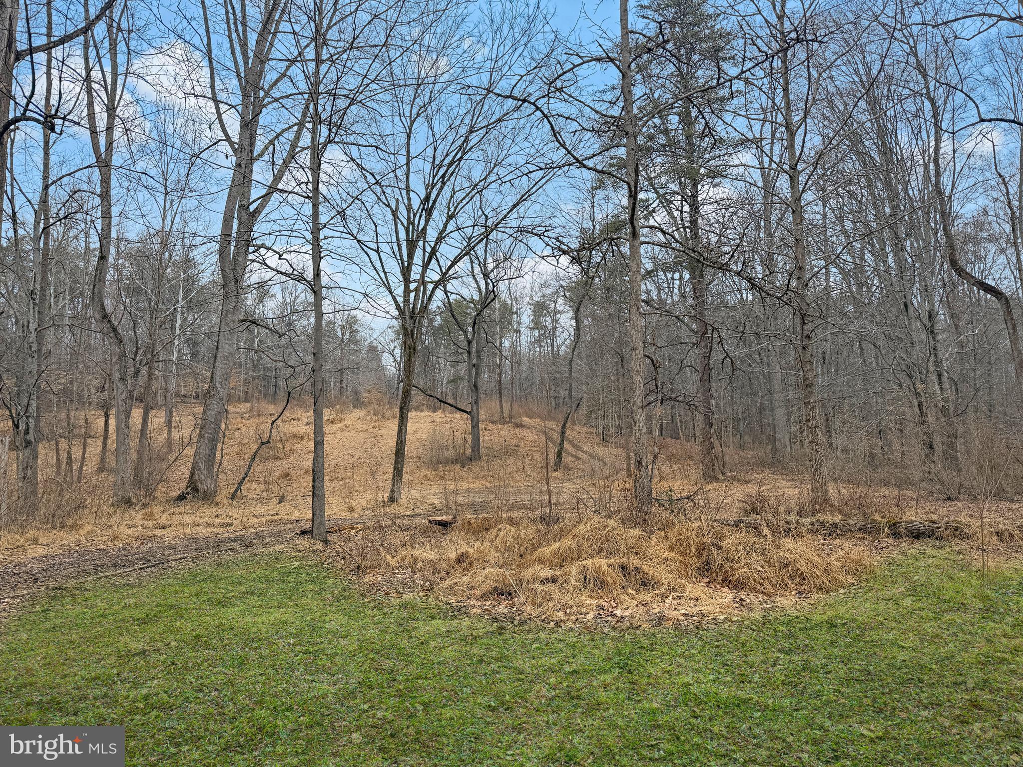 7017 A Union Mill Road Clifton, VA 20124 - Photo 4 of 15