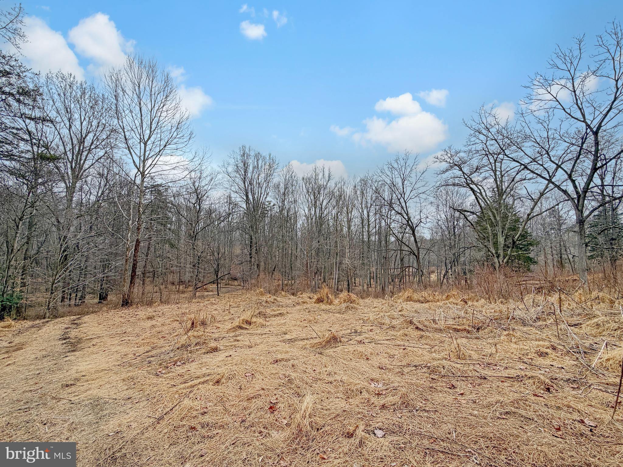 7017 A Union Mill Road Clifton, VA 20124 - Photo 5 of 15