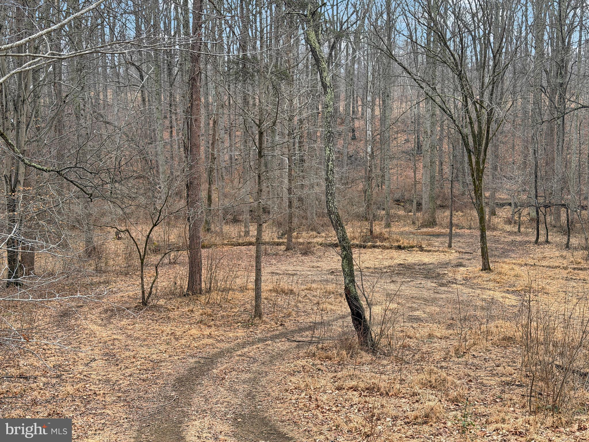 7017 A Union Mill Road Clifton, VA 20124 - Photo 6 of 15