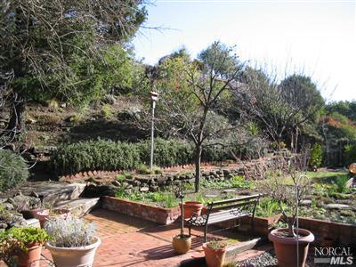 494 Las Colindas Road San Rafael, CA 94903 - Photo 3 of 8 a view of a backyard with sitting area