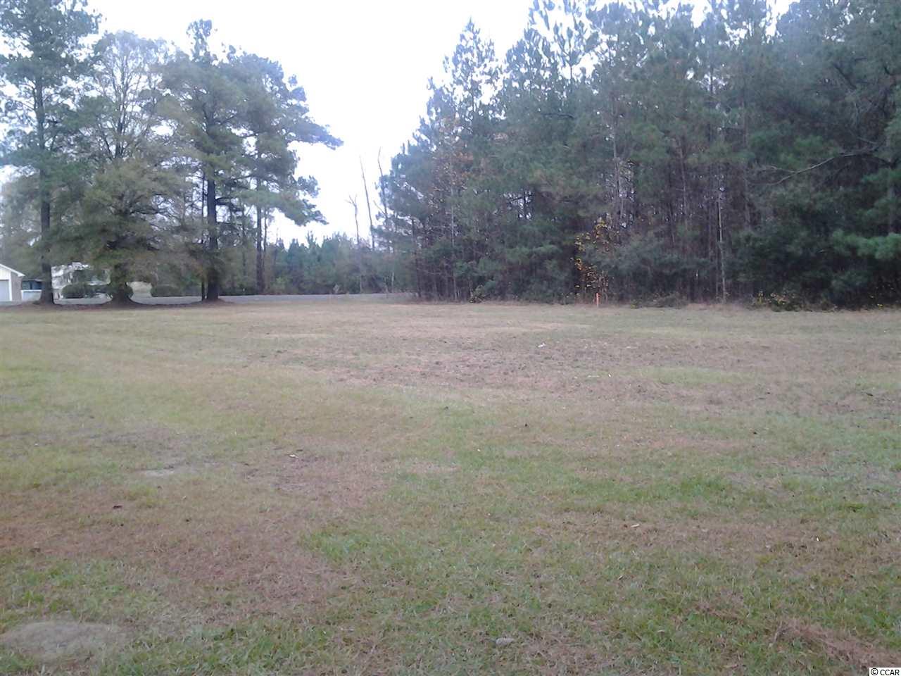 5991 Bear Bluff Road Conway, SC 29526 - Photo 1 of 22 Gallery Image 1