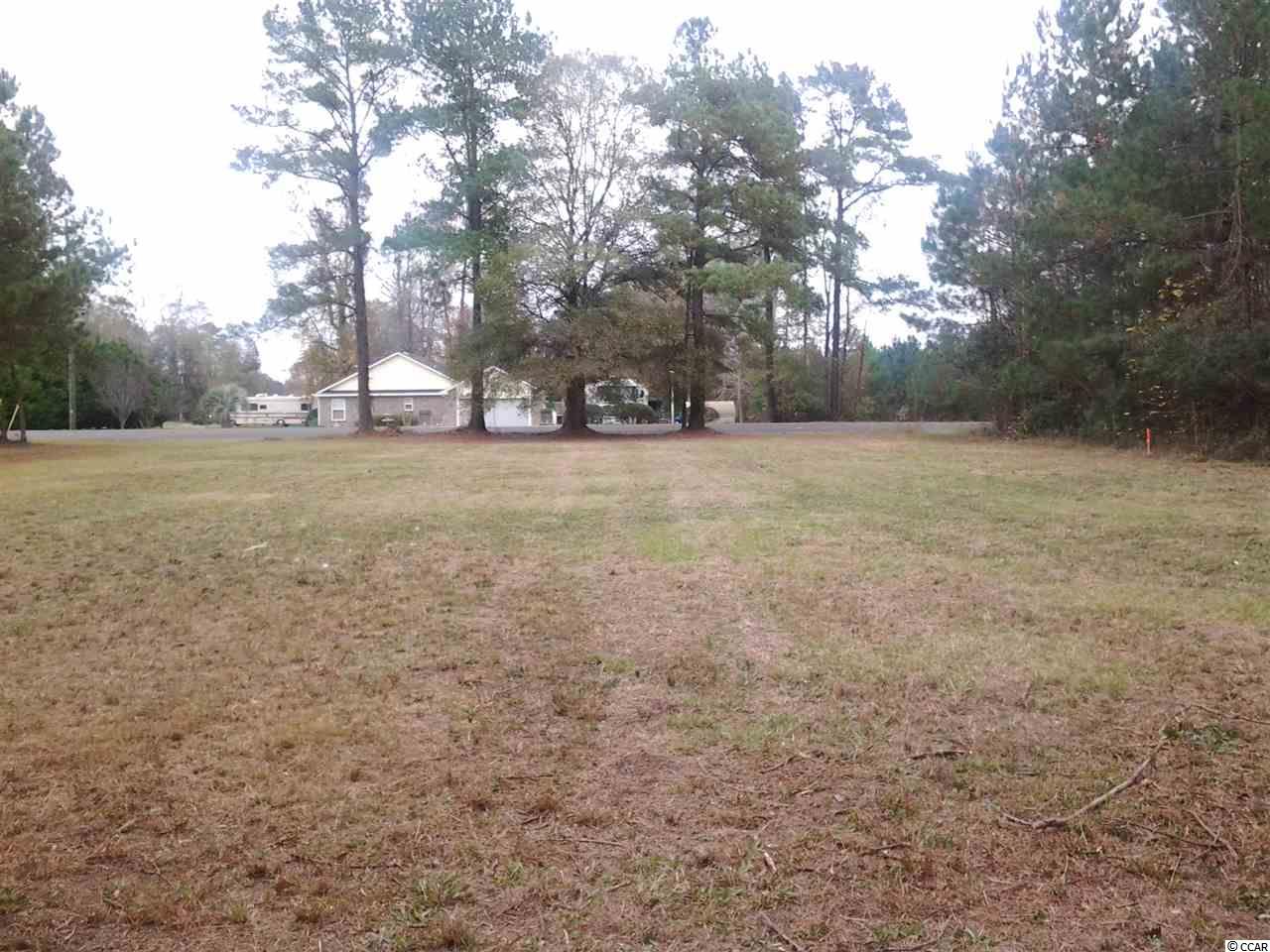 5991 Bear Bluff Road Conway, SC 29526 - Photo 2 of 22 Gallery Image 2