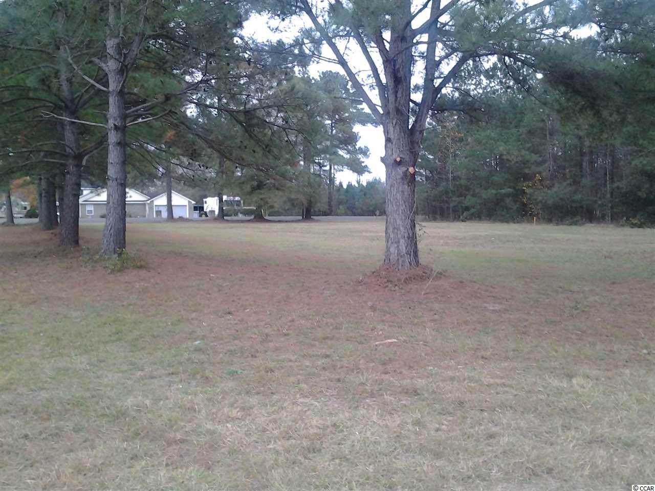 5991 Bear Bluff Road Conway, SC 29526 - Photo 11 of 22 Gallery Image 11