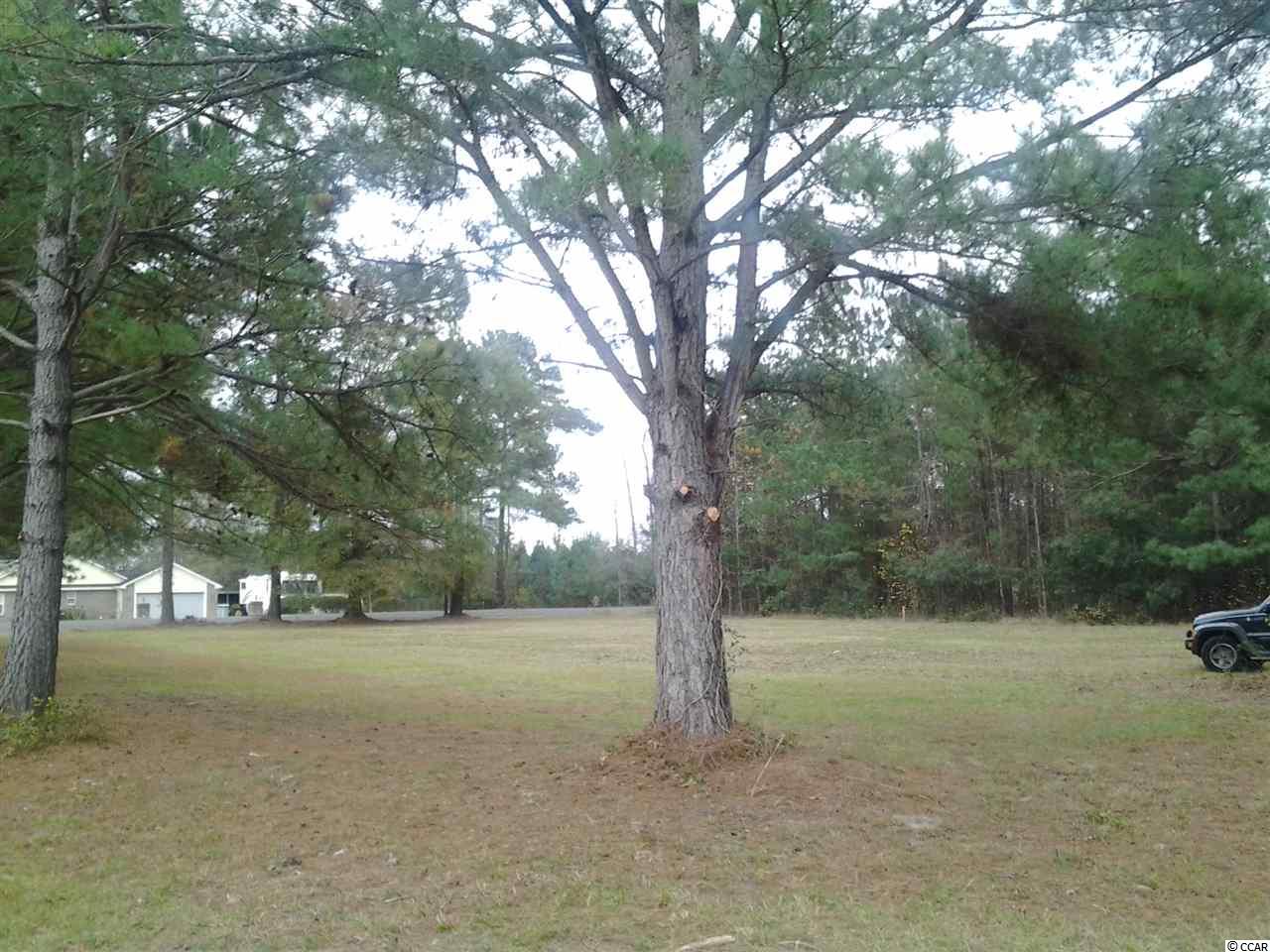 5991 Bear Bluff Road Conway, SC 29526 - Photo 12 of 22 Gallery Image 12