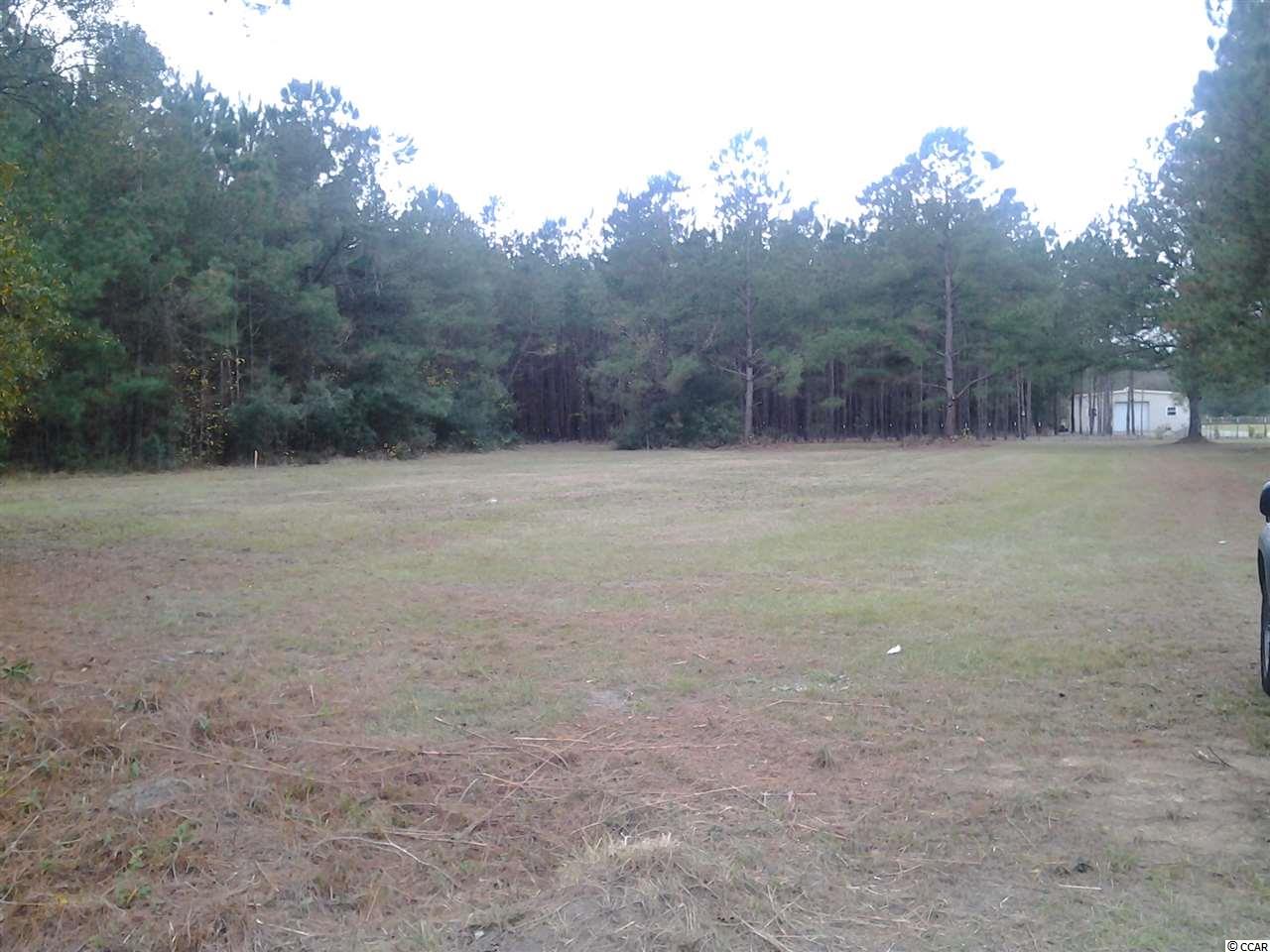 5991 Bear Bluff Road Conway, SC 29526 - Photo 13 of 22 Gallery Image 13