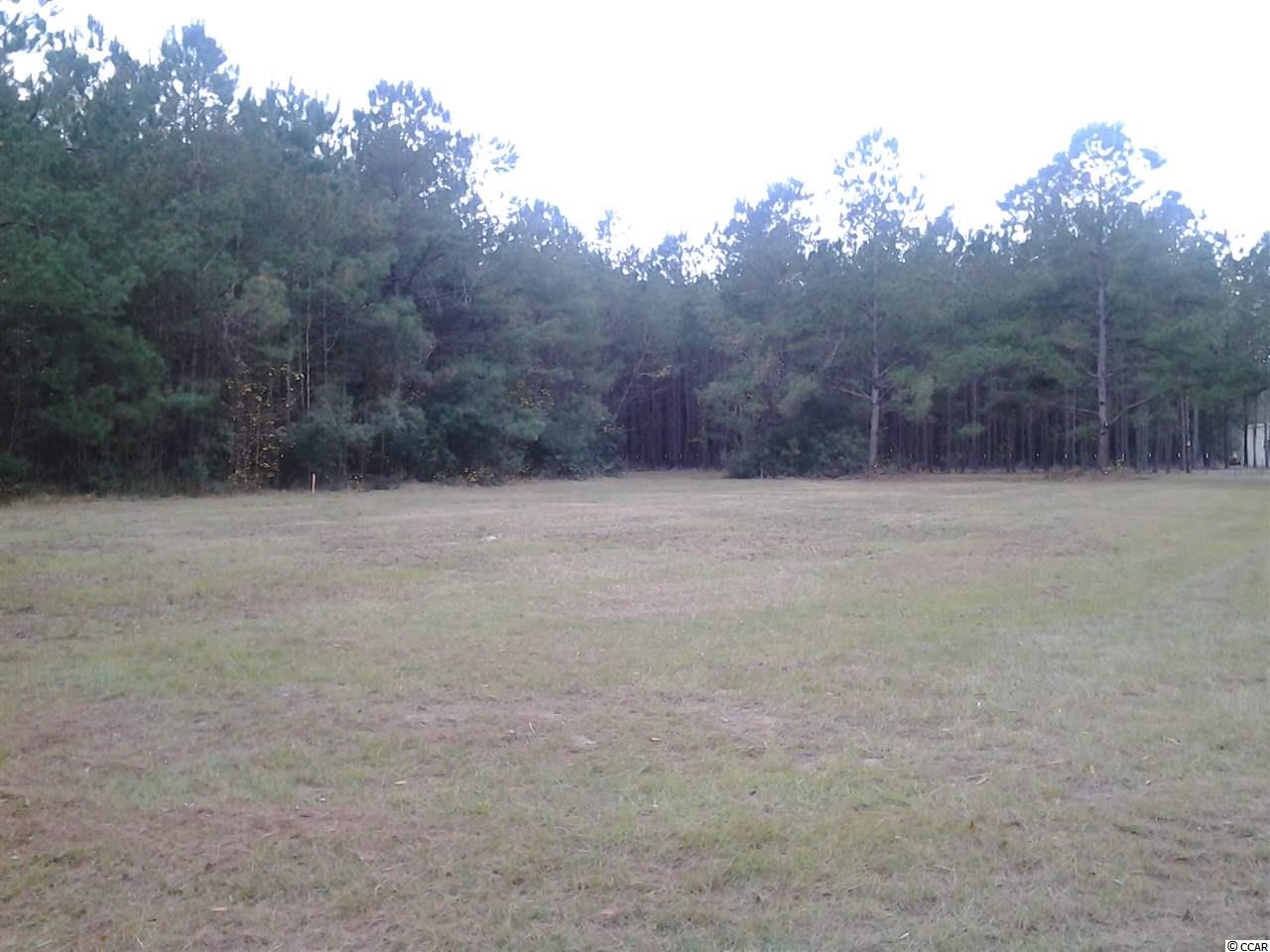5991 Bear Bluff Road Conway, SC 29526 - Photo 14 of 22 Gallery Image 14