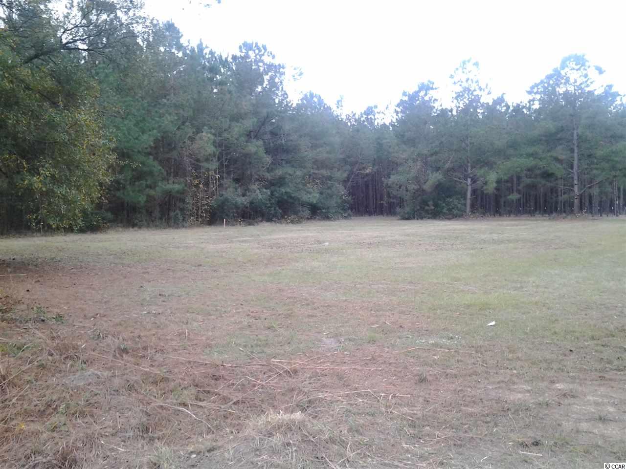 5991 Bear Bluff Road Conway, SC 29526 - Photo 15 of 22 Gallery Image 15