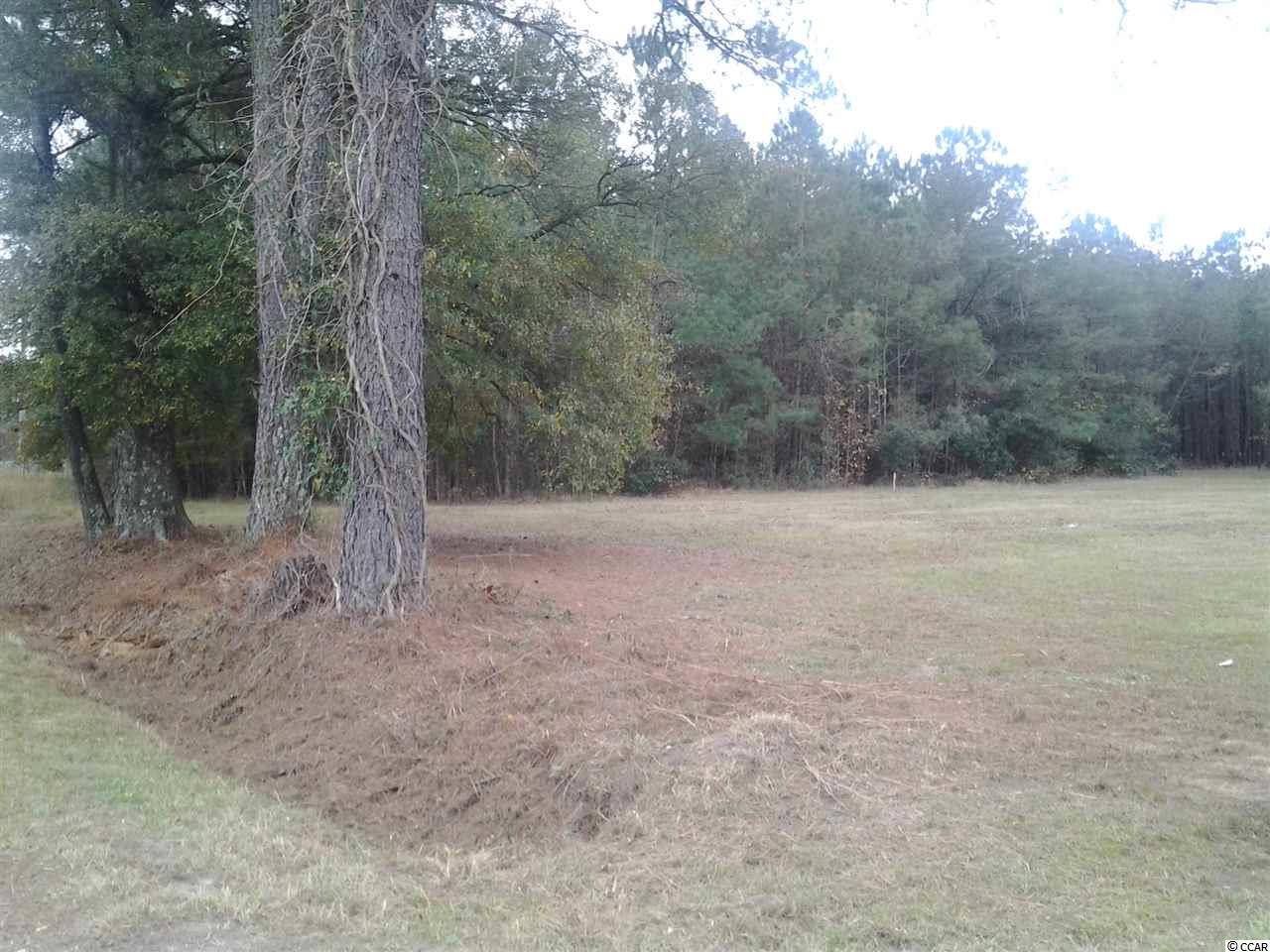 5991 Bear Bluff Road Conway, SC 29526 - Photo 16 of 22 Gallery Image 16