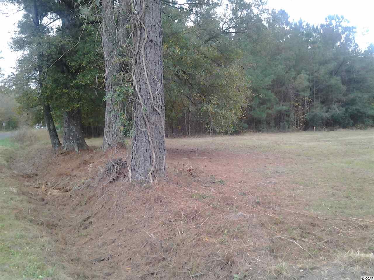5991 Bear Bluff Road Conway, SC 29526 - Photo 17 of 22 Gallery Image 17
