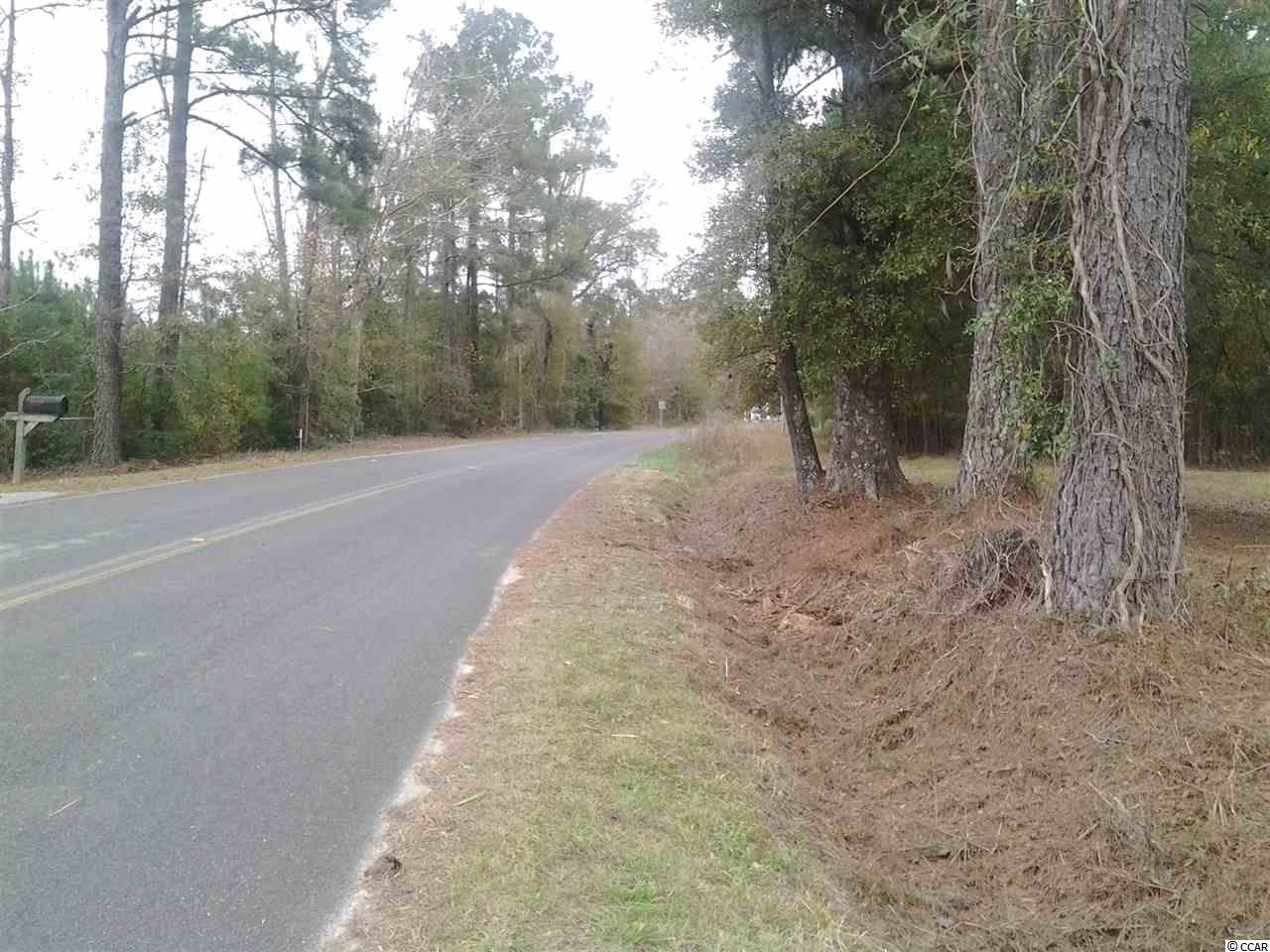 5991 Bear Bluff Road Conway, SC 29526 - Photo 18 of 22 Gallery Image 18