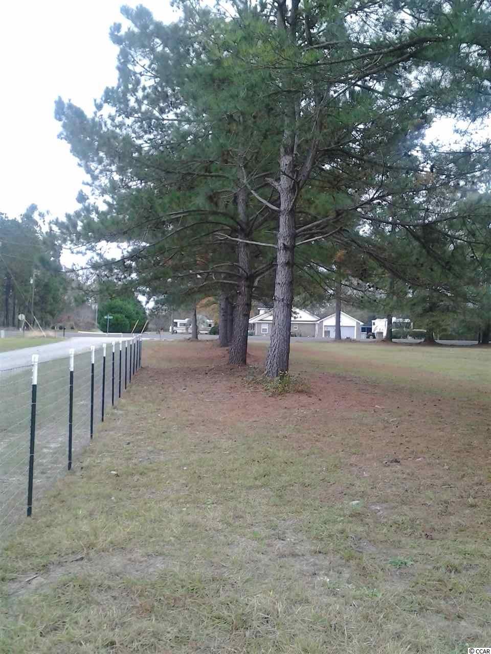 5991 Bear Bluff Road Conway, SC 29526 - Photo 19 of 22 Gallery Image 19