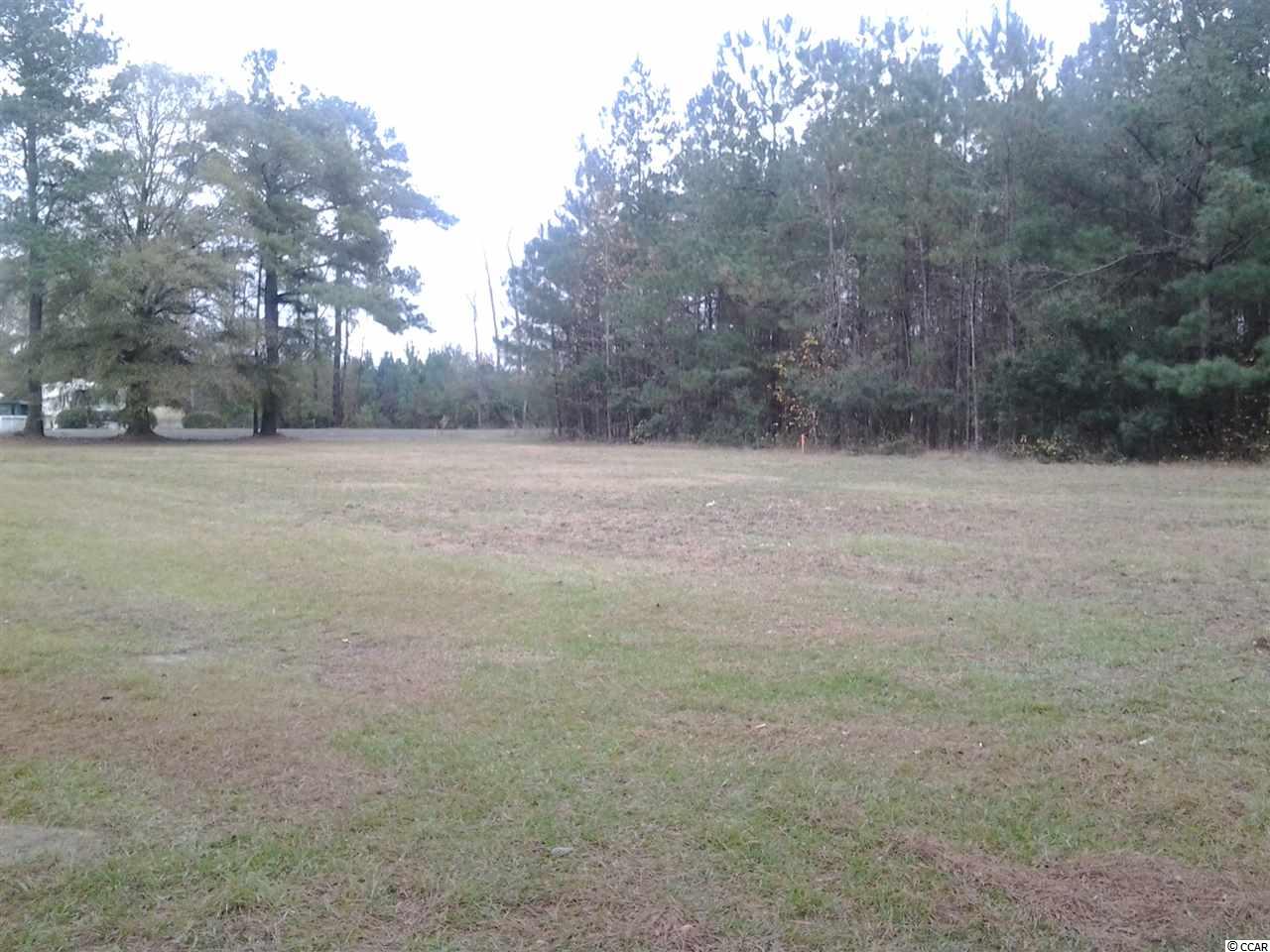 5991 Bear Bluff Road Conway, SC 29526 - Photo 21 of 22 Gallery Image 21