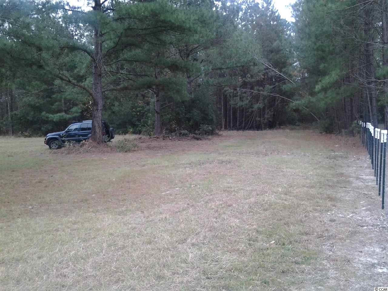 5991 Bear Bluff Road Conway, SC 29526 - Photo 22 of 22 Gallery Image 22