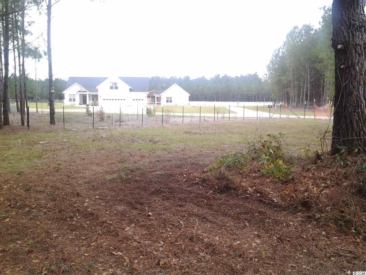 5991 Bear Bluff Road Conway, SC 29526 - Photo 6 of 22 Gallery Image 6