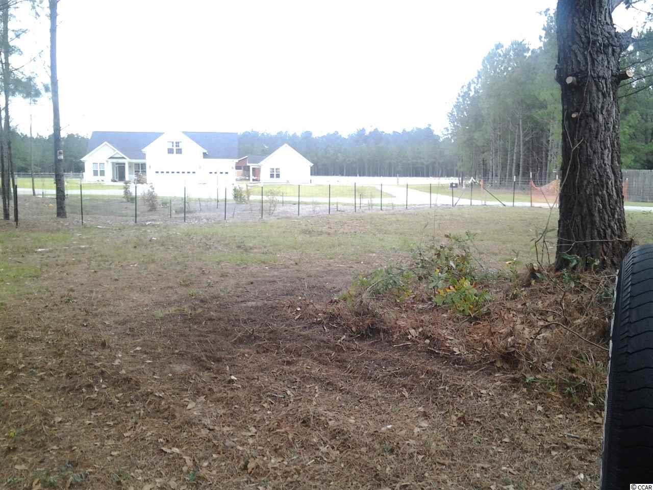 5991 Bear Bluff Road Conway, SC 29526 - Photo 7 of 22 Gallery Image 7
