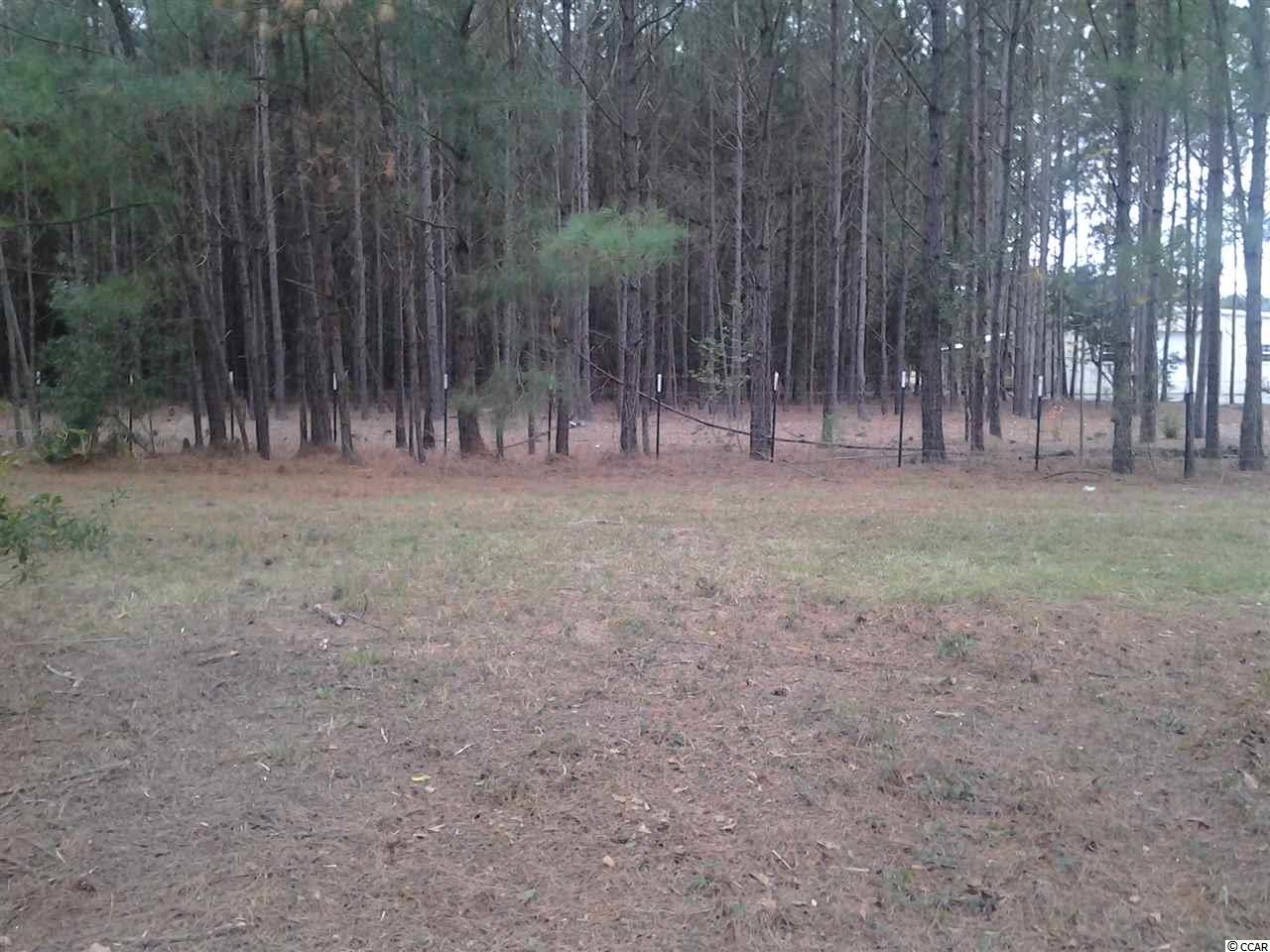 5991 Bear Bluff Road Conway, SC 29526 - Photo 8 of 22 Gallery Image 8