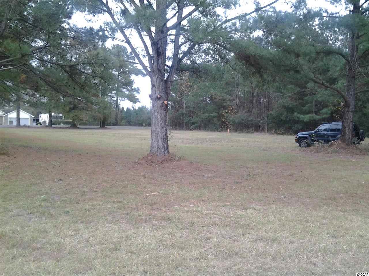 5991 Bear Bluff Road Conway, SC 29526 - Photo 10 of 22 Gallery Image 10