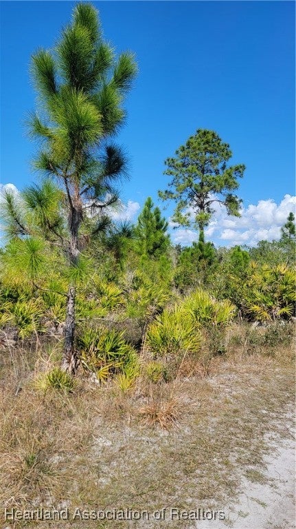 1061 Riding Drive Lorida, FL 33857 - Photo 6 of 21 Gallery Image 6
