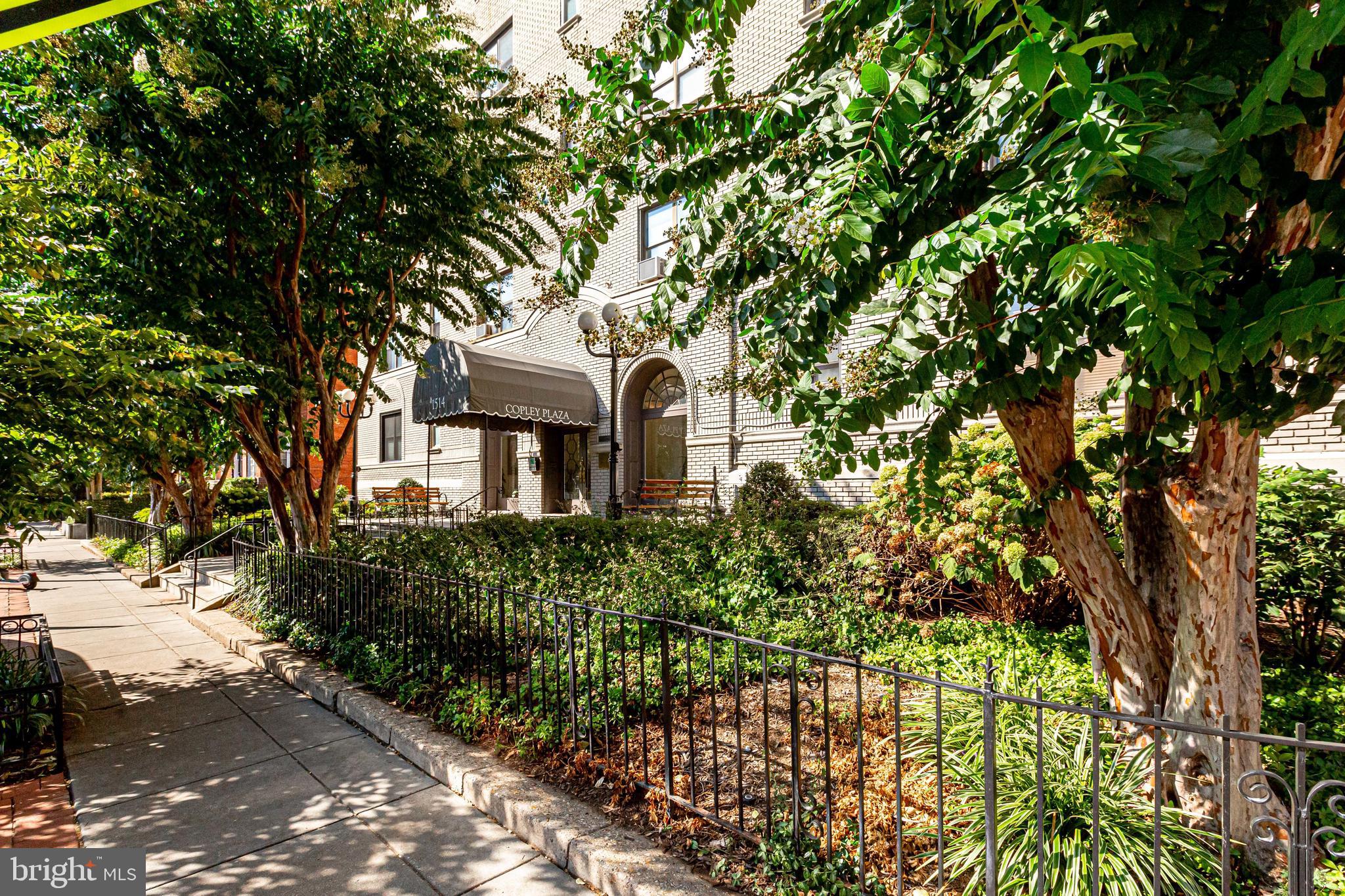 1514 17th Street Northwest, Unit 107 Washington, DC 20036 - Photo 5 of 63 Mature trees