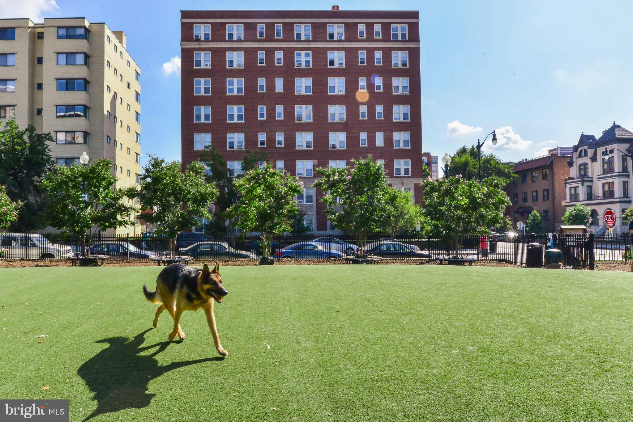 1514 17th Street Northwest, Unit 107 Washington, DC 20036 - Photo 60 of 63 S Street Dog Park